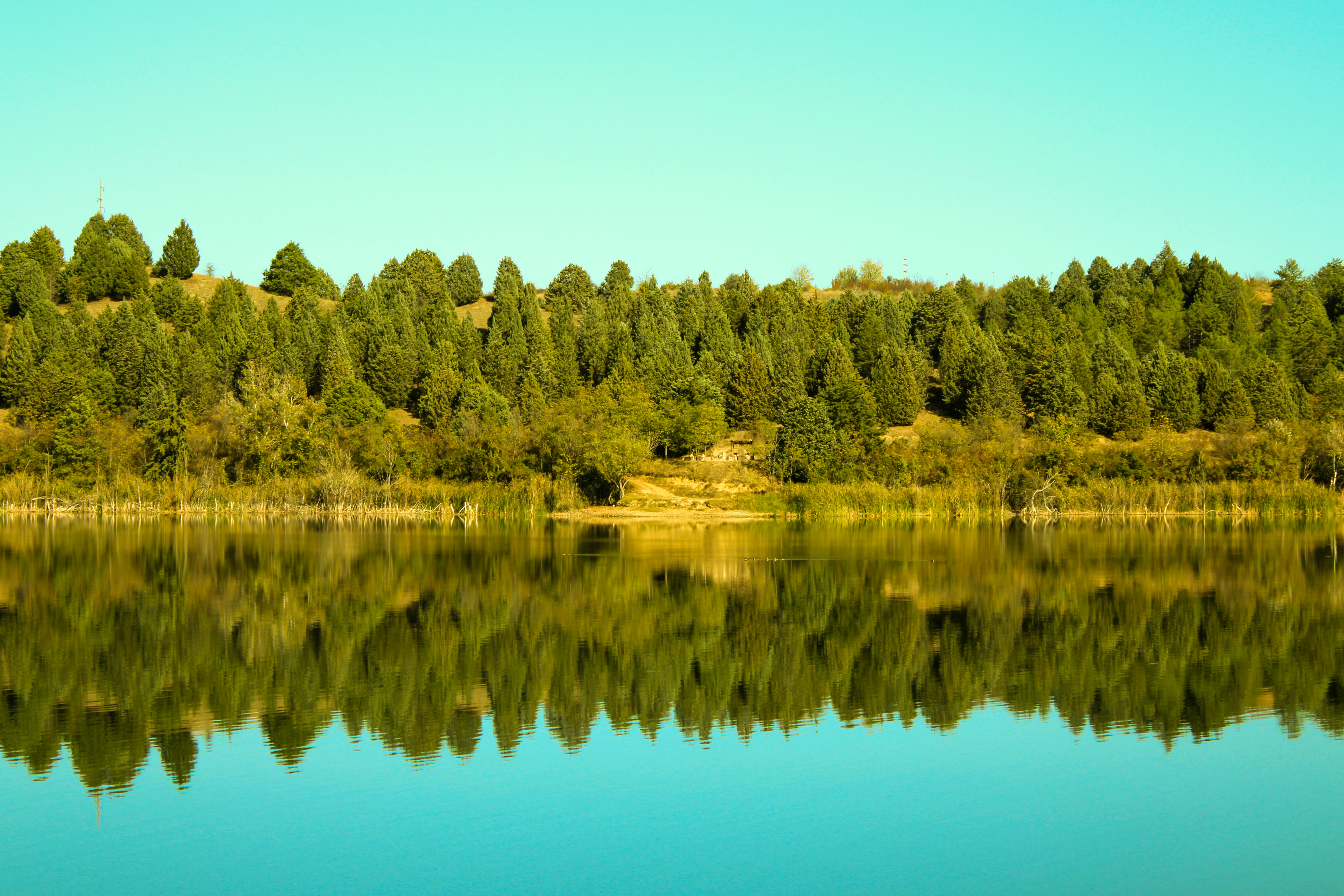 Photo by tatjana_123