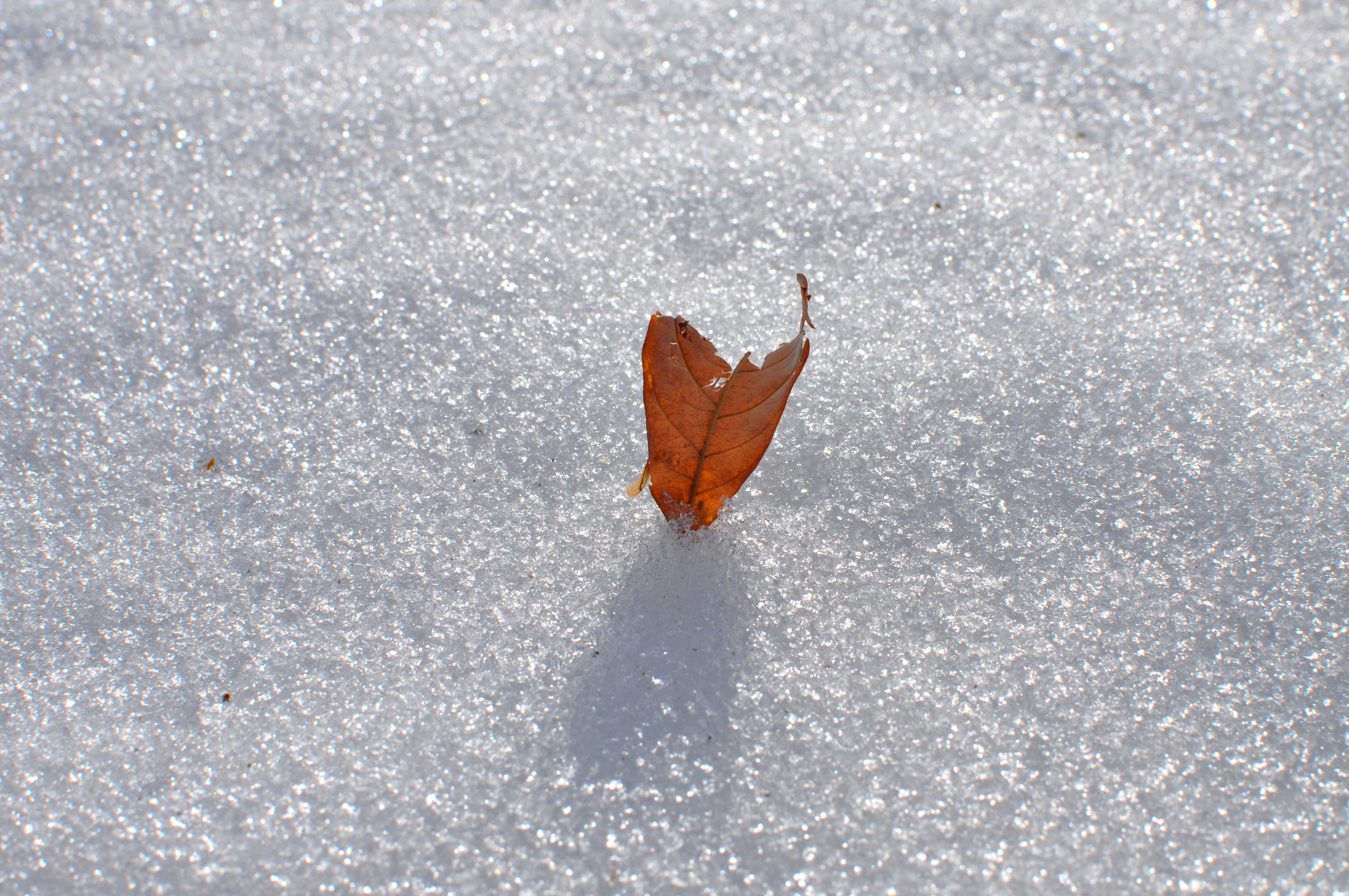 Photo by rainporches