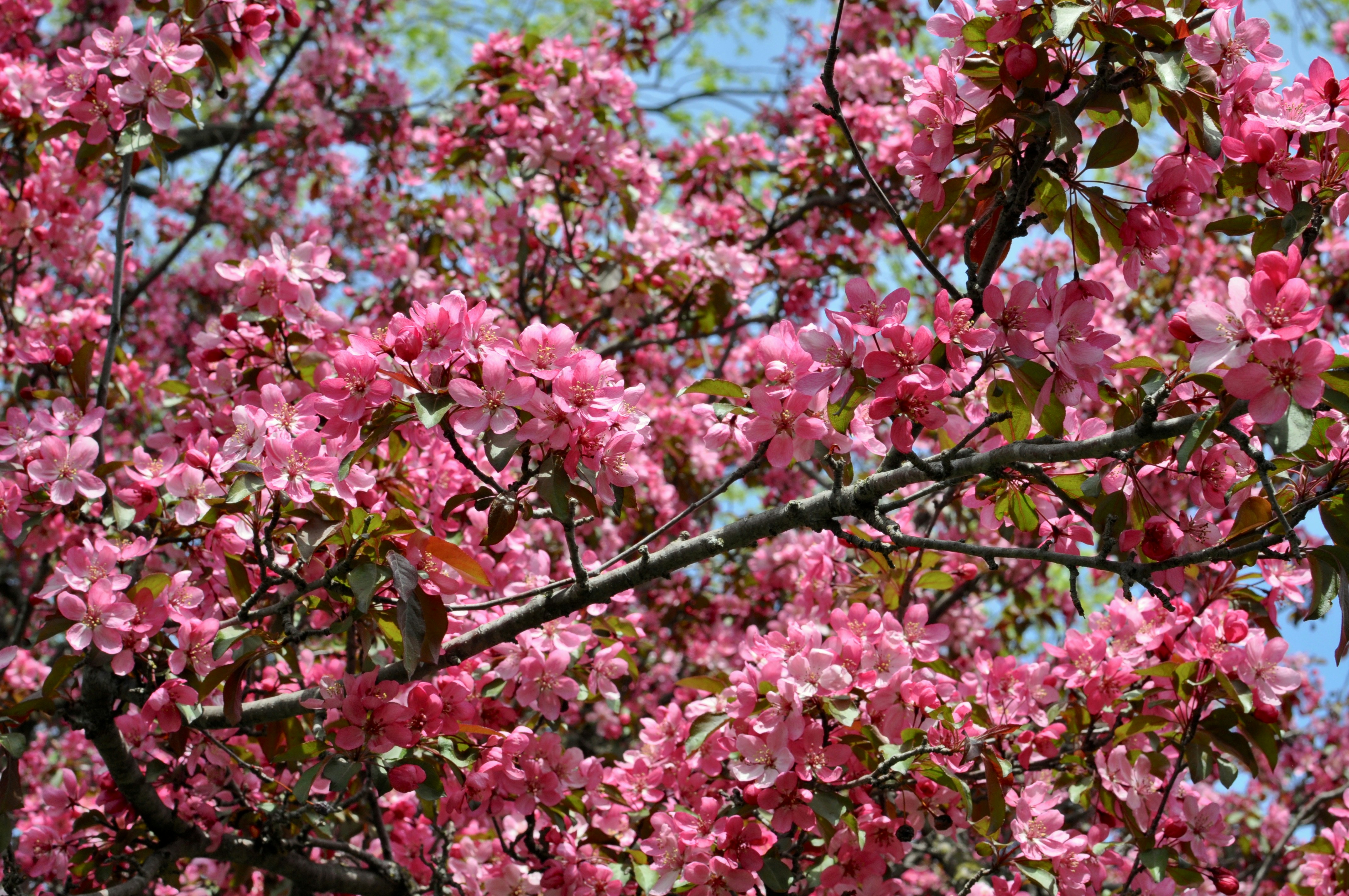 Photo by rainporches