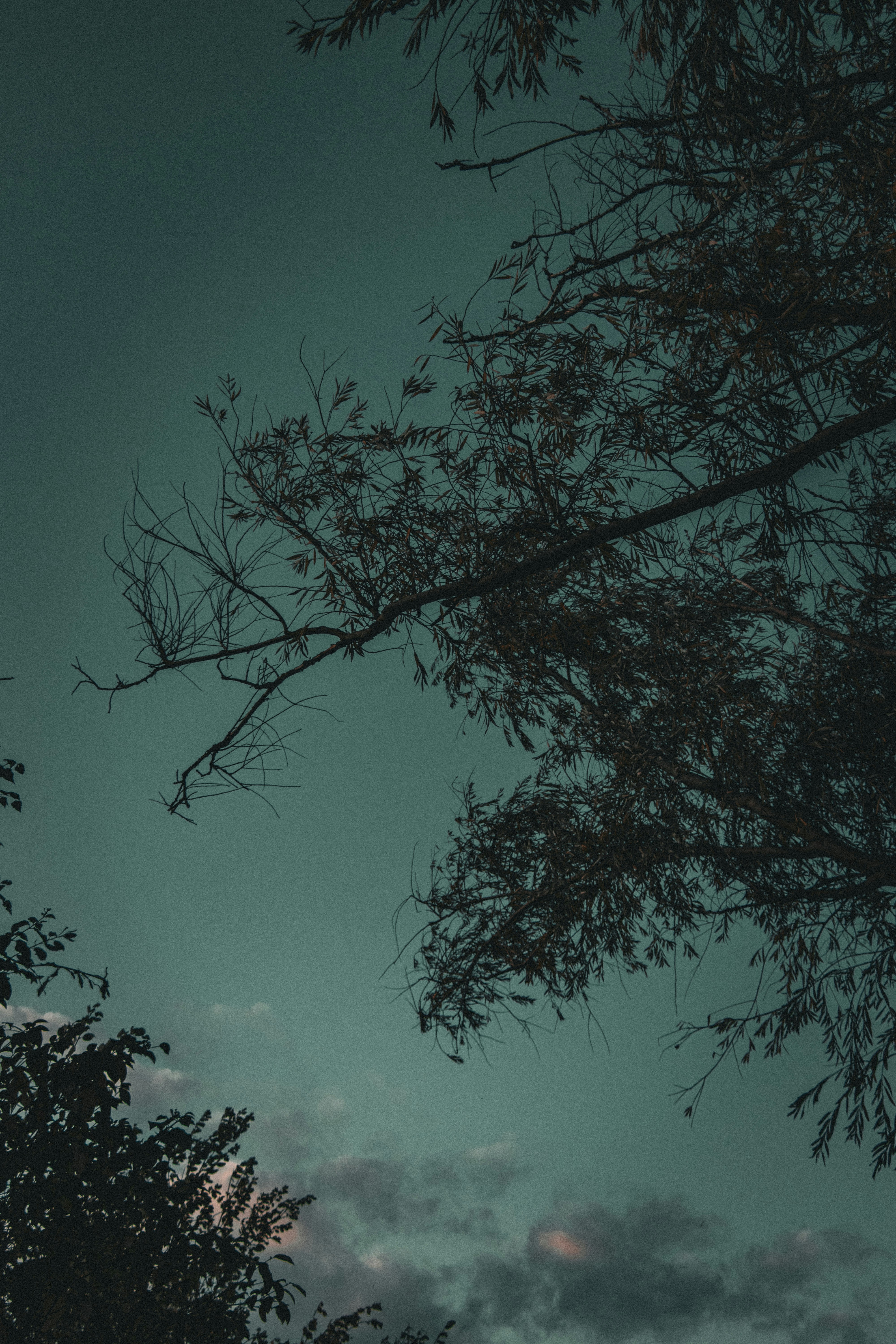 Photo by sorinbasangeac