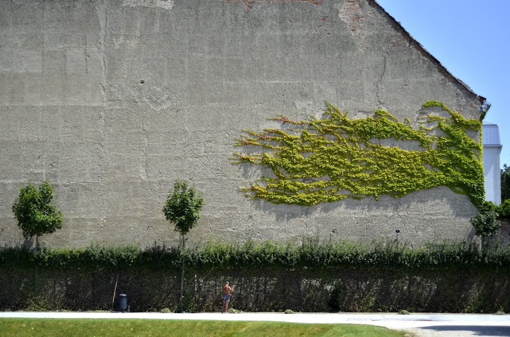 a building with a tree on the side of it