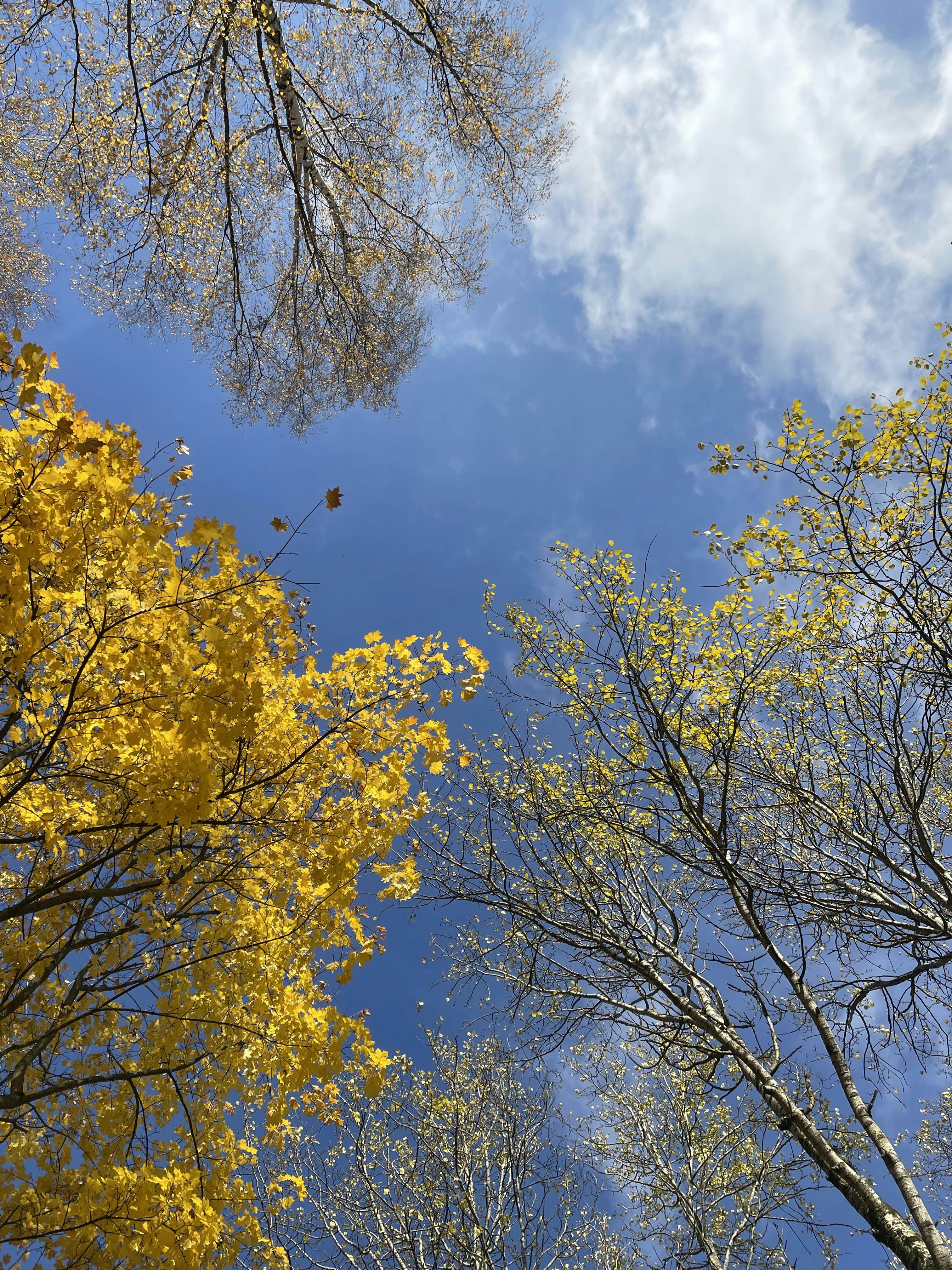 Photo by inna_lobacheva