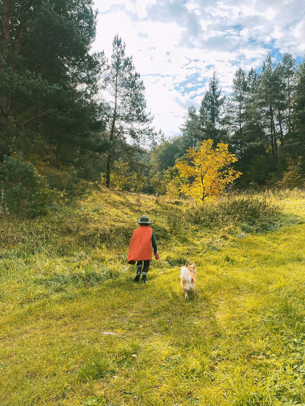 a person walking with a dog in a field