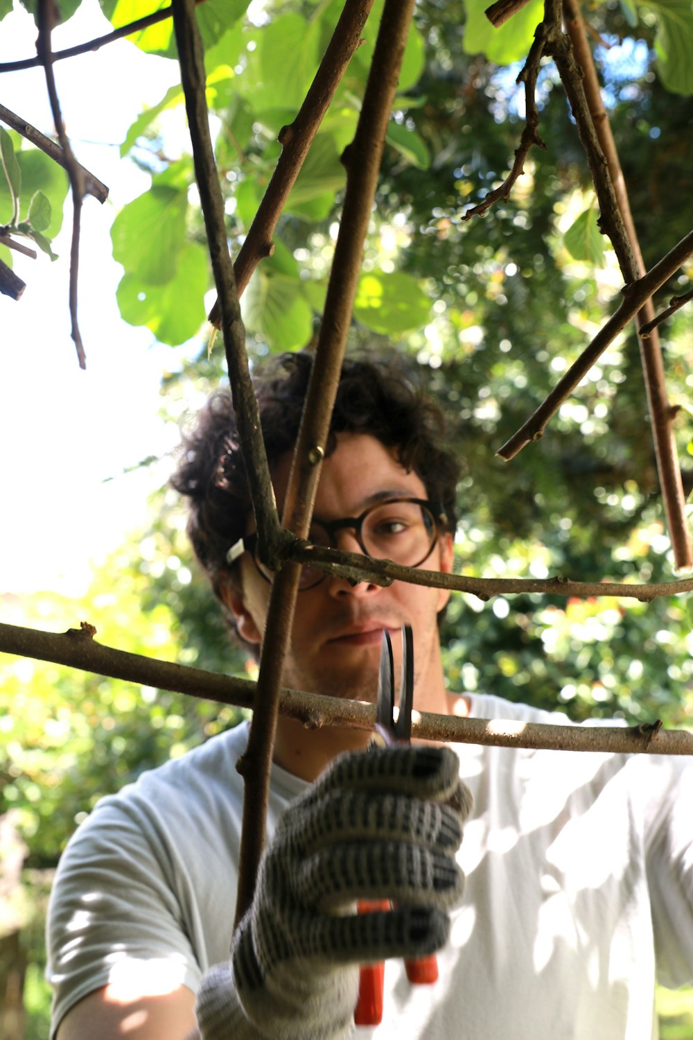 a man holding a pair of scissors in a tree