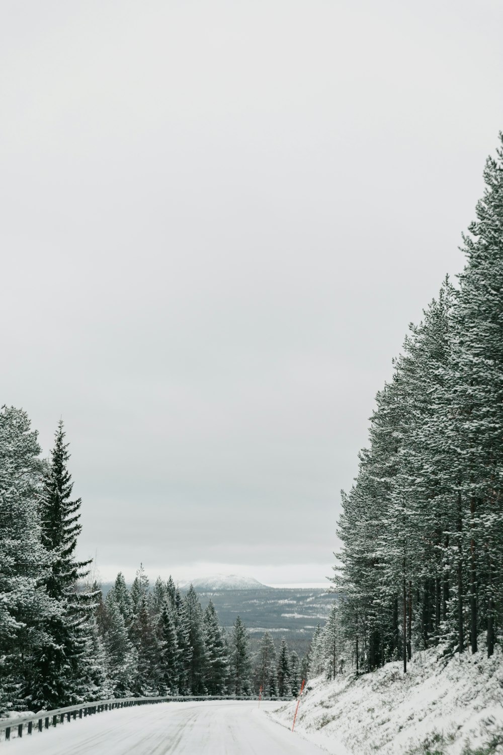 a snow covered road with trees and a hill in the background