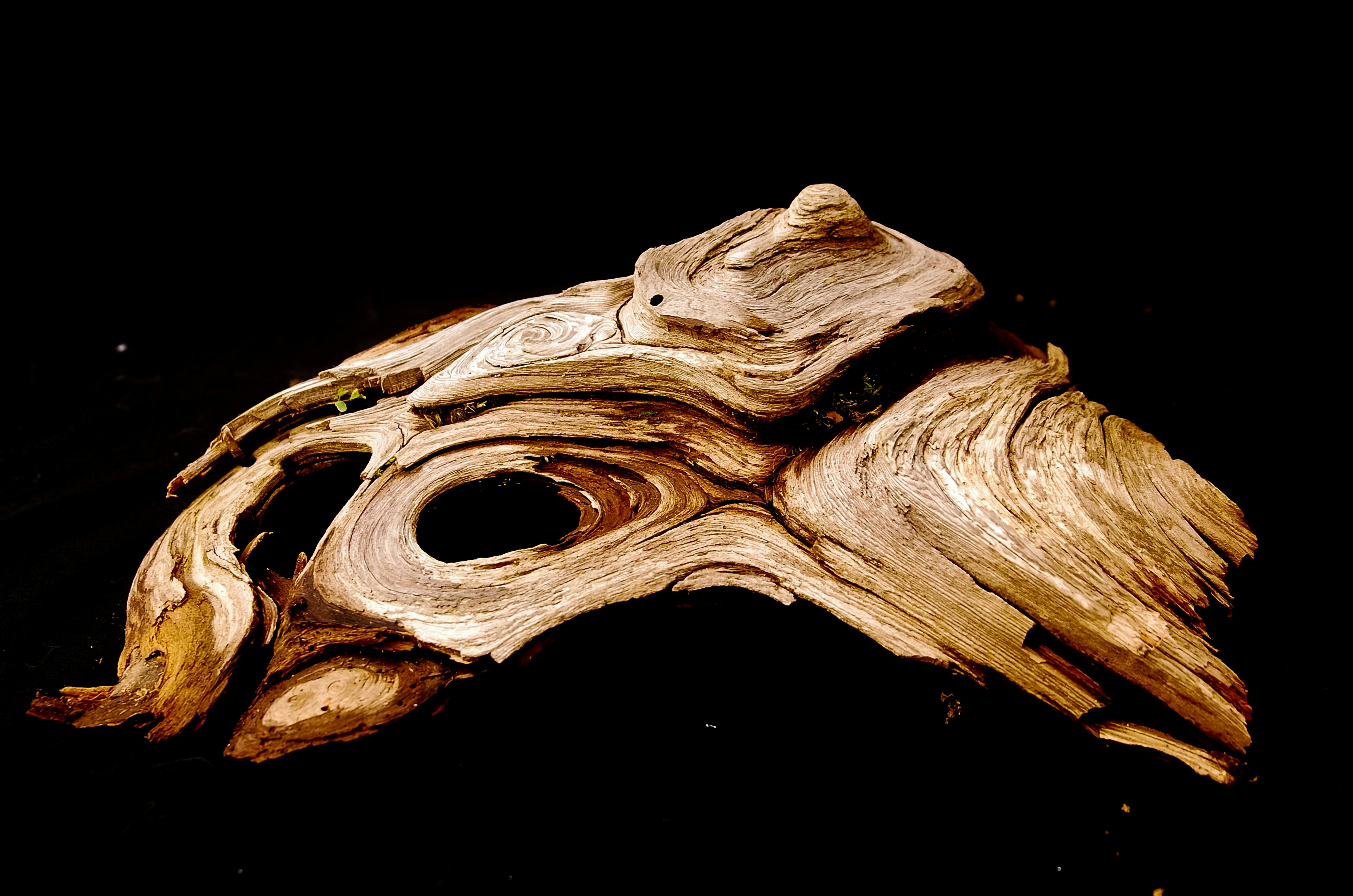 Affordable Aquarium Driftwood Collection