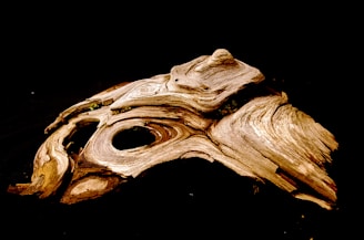 Close-up of a driftwood sculpture with intricate natural textures and flowing shapes.