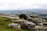 A small pony is standing on rocky terrain amidst a vast landscape of rolling hills and fields. The stones are covered with patches of lichen and moss, and the grass is lush and green. The background features expansive views of layered hills under a cloudy sky.