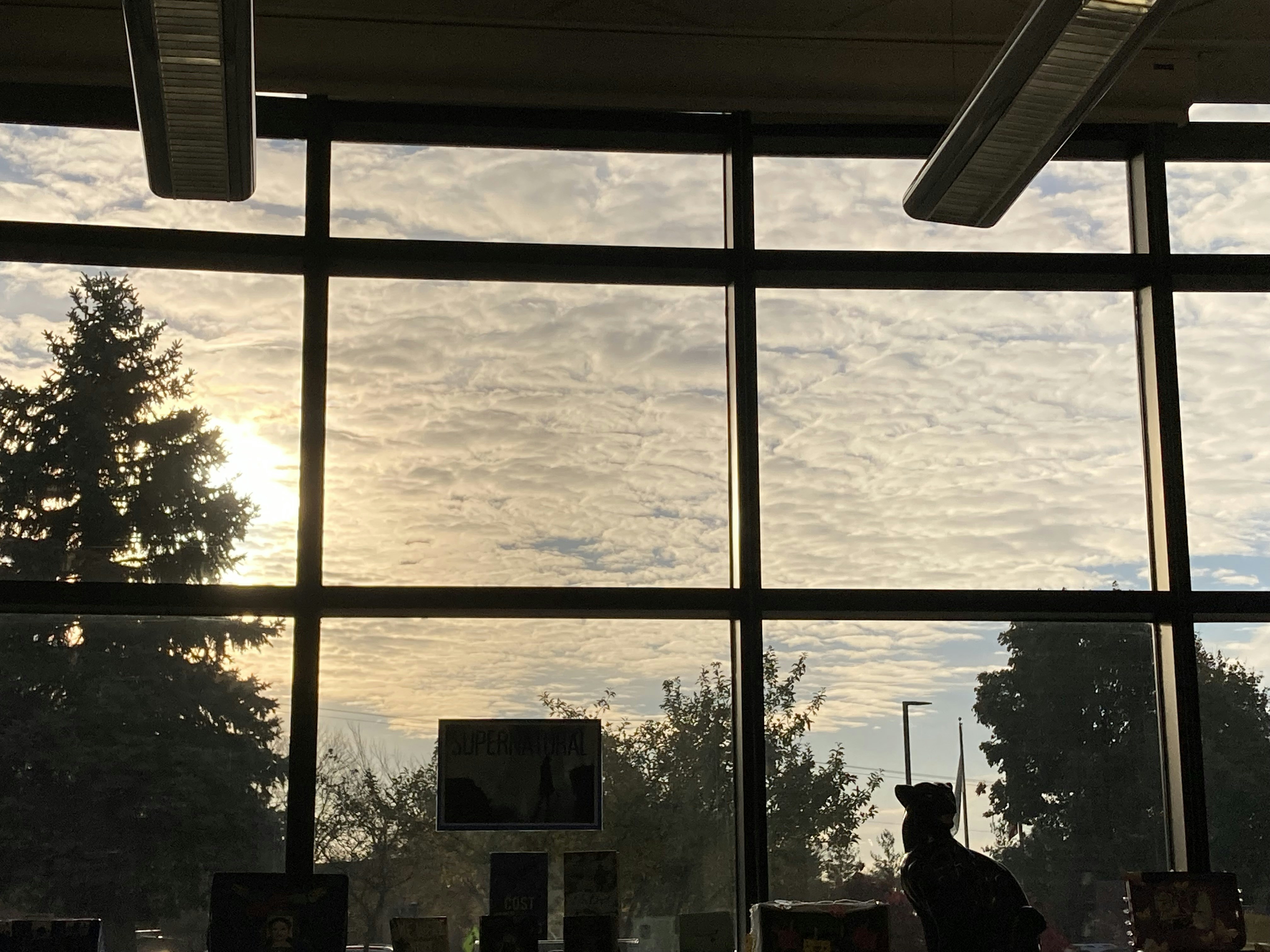 a person standing in front of a large window