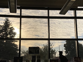 A bright, sunlit window reflecting the Adelaide skyline on a clear day.