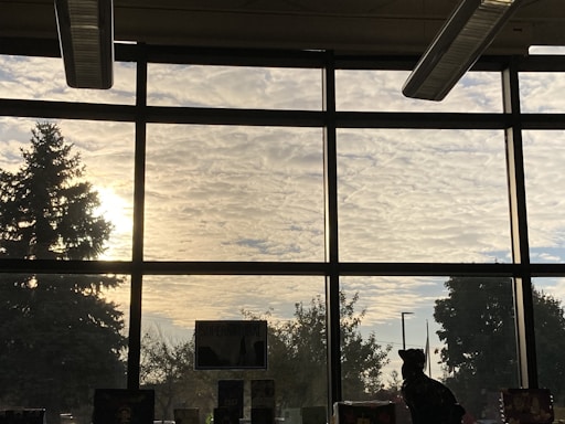 A bright, sunlit window reflecting the Adelaide skyline on a clear day.