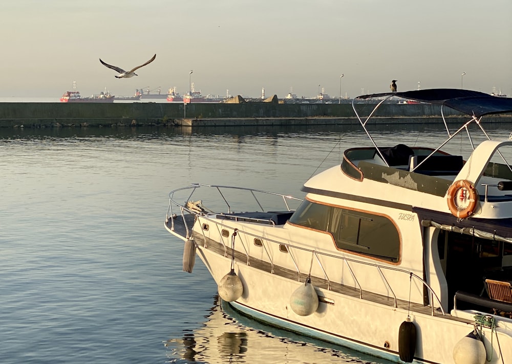 a bird flying over a boat in the water