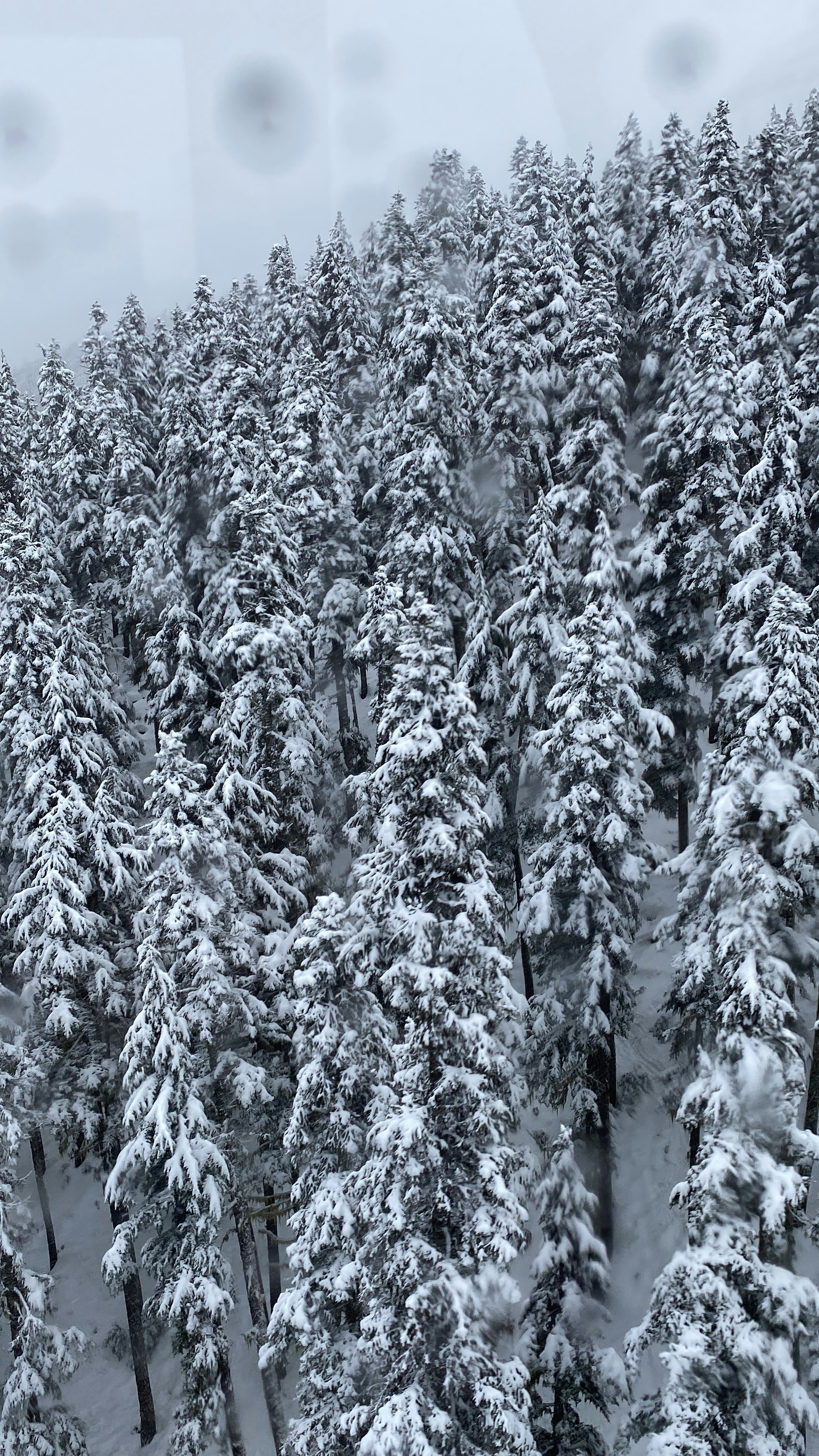 Photo by parisgreece