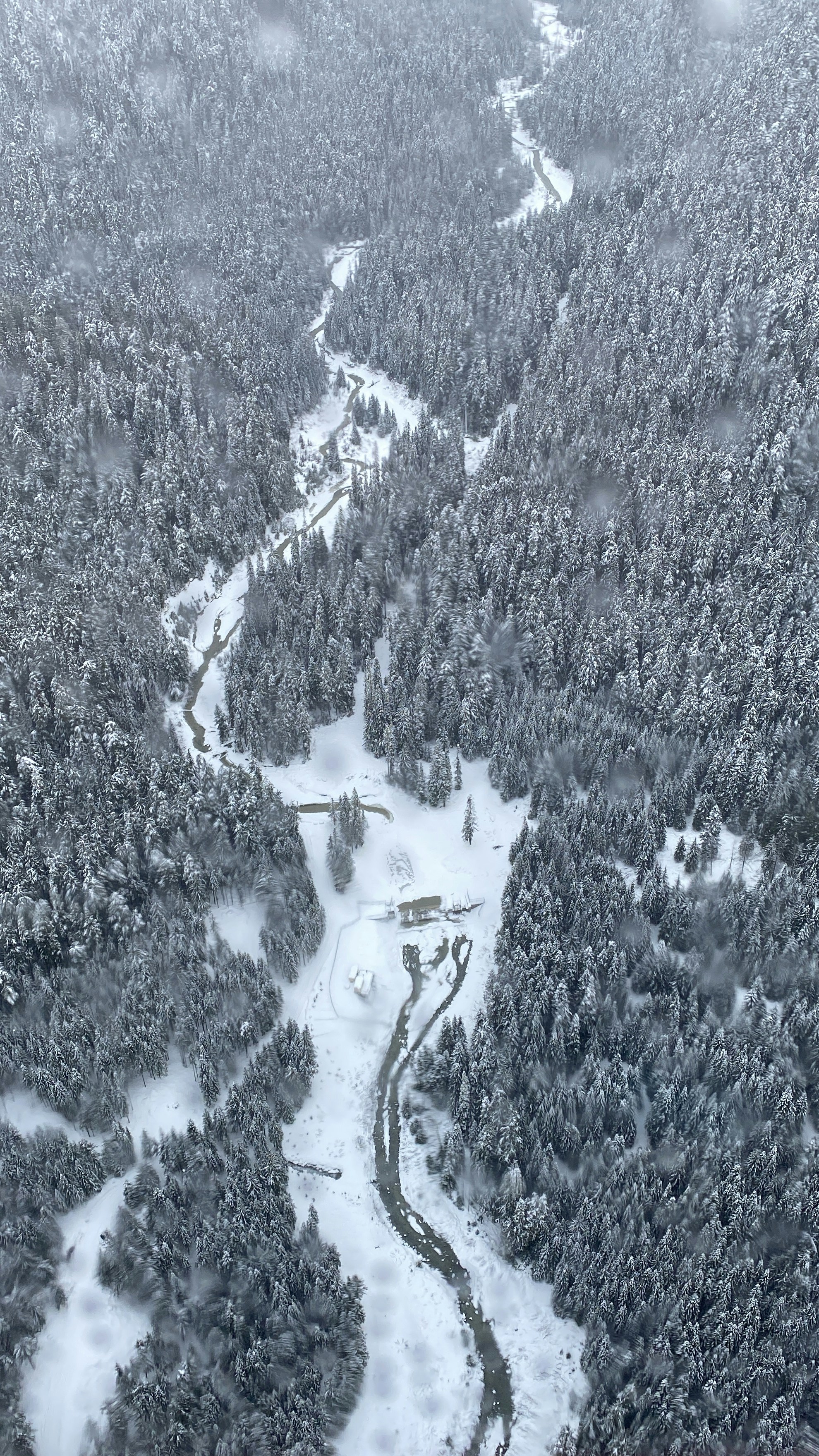 An aerial view of a snow covered forest photo – Free Land Image on Unsplash