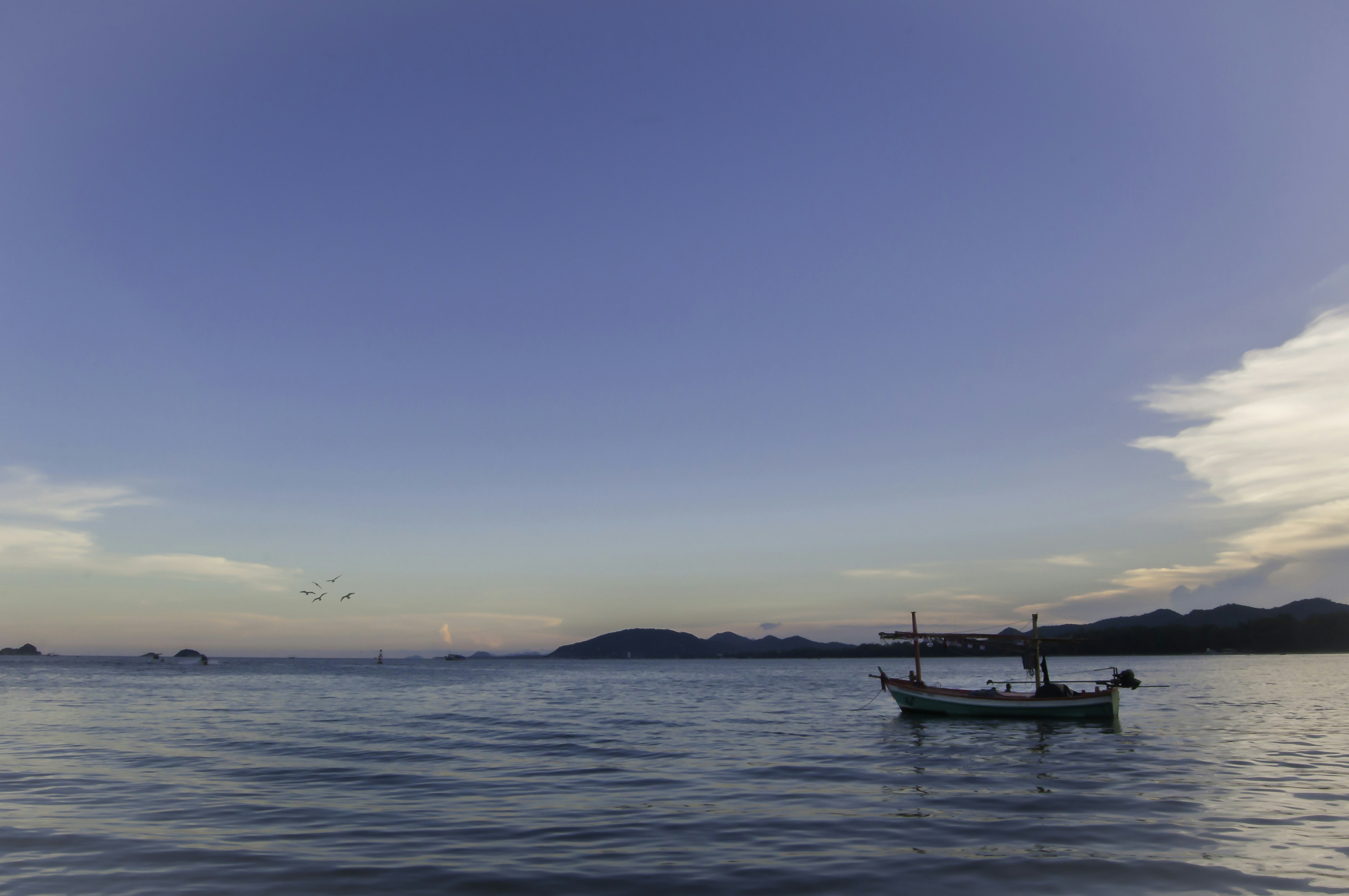 Photo by thom_oxford