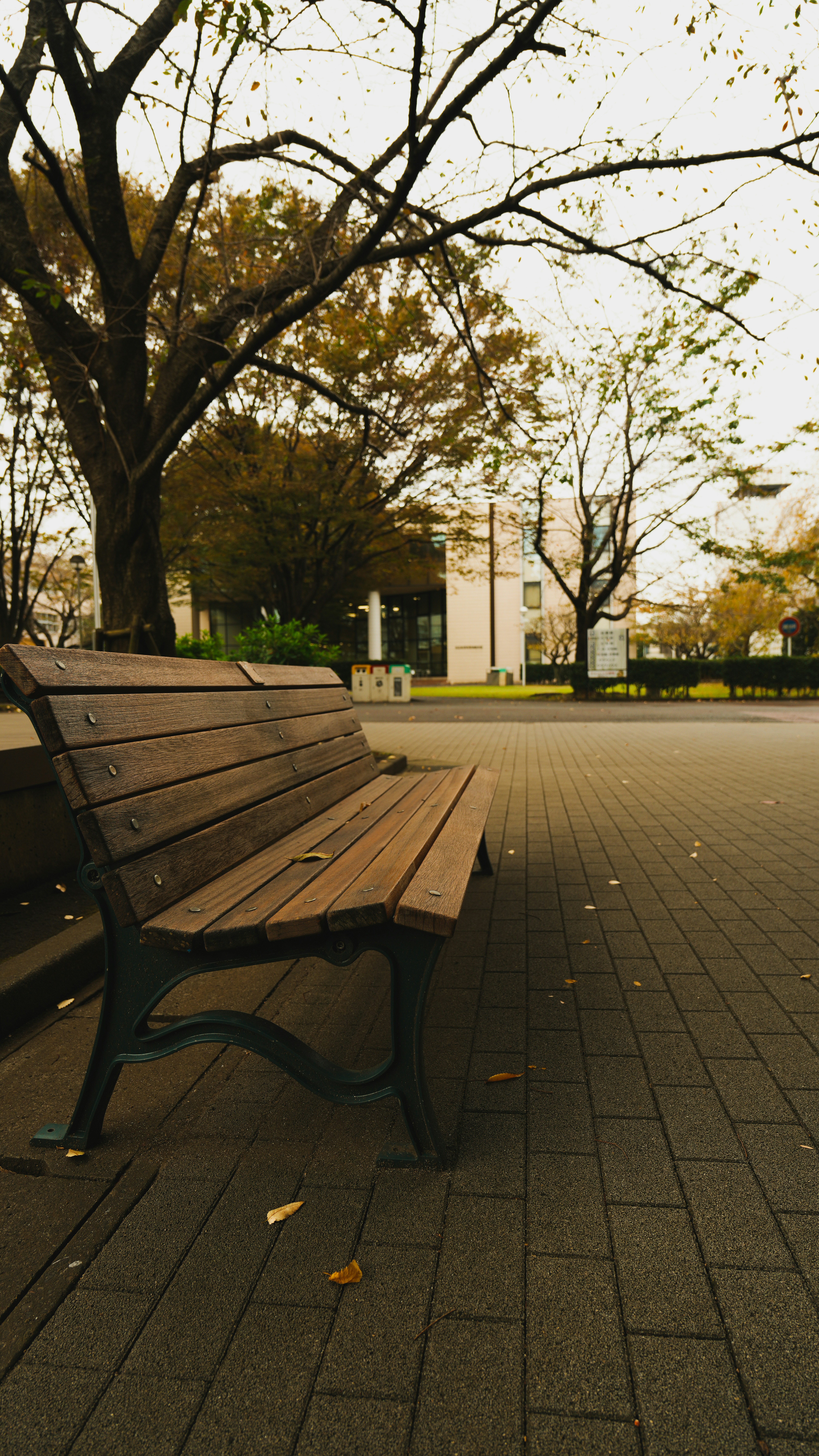 Photo by blueskymegumi