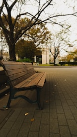 A wooden park bench is located on a paved pathway surrounded by autumn trees with sparse leaves. The background includes buildings partially visible through the branches, suggesting an urban park setting. Fallen leaves are scattered on the ground, and the sky is overcast, creating a serene and slightly melancholic atmosphere.