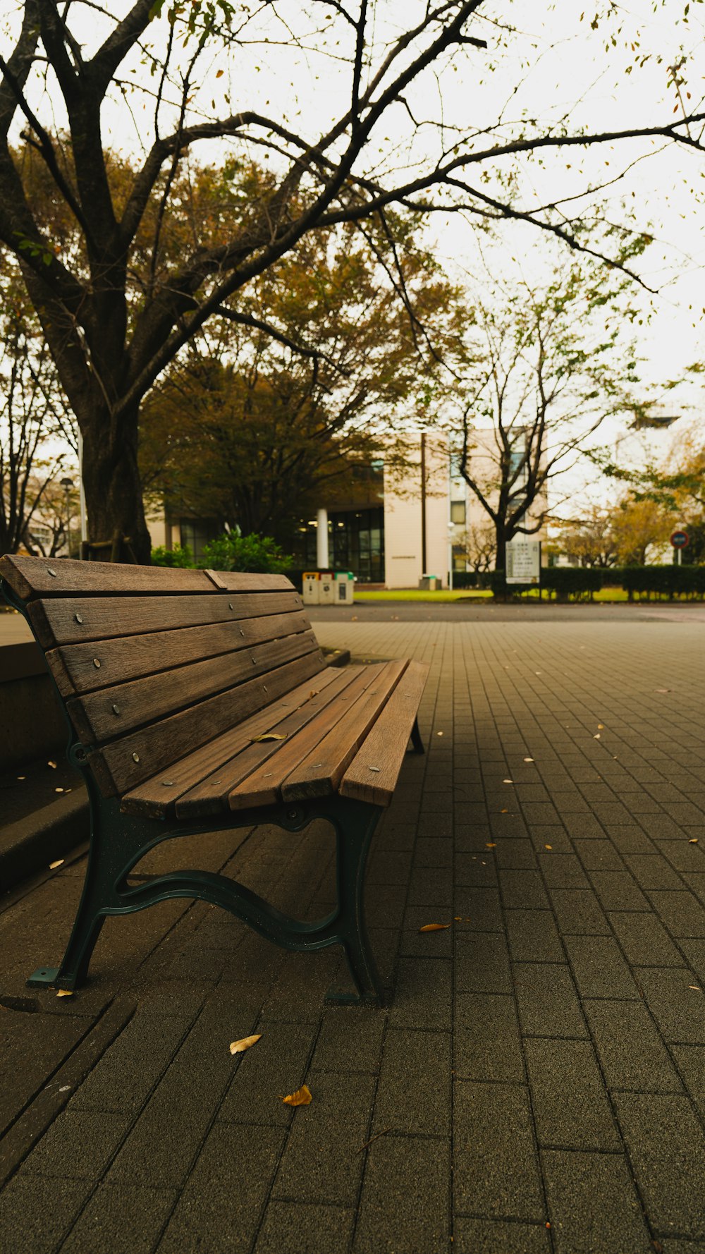 a wooden bench sitting on top of a sidewalk