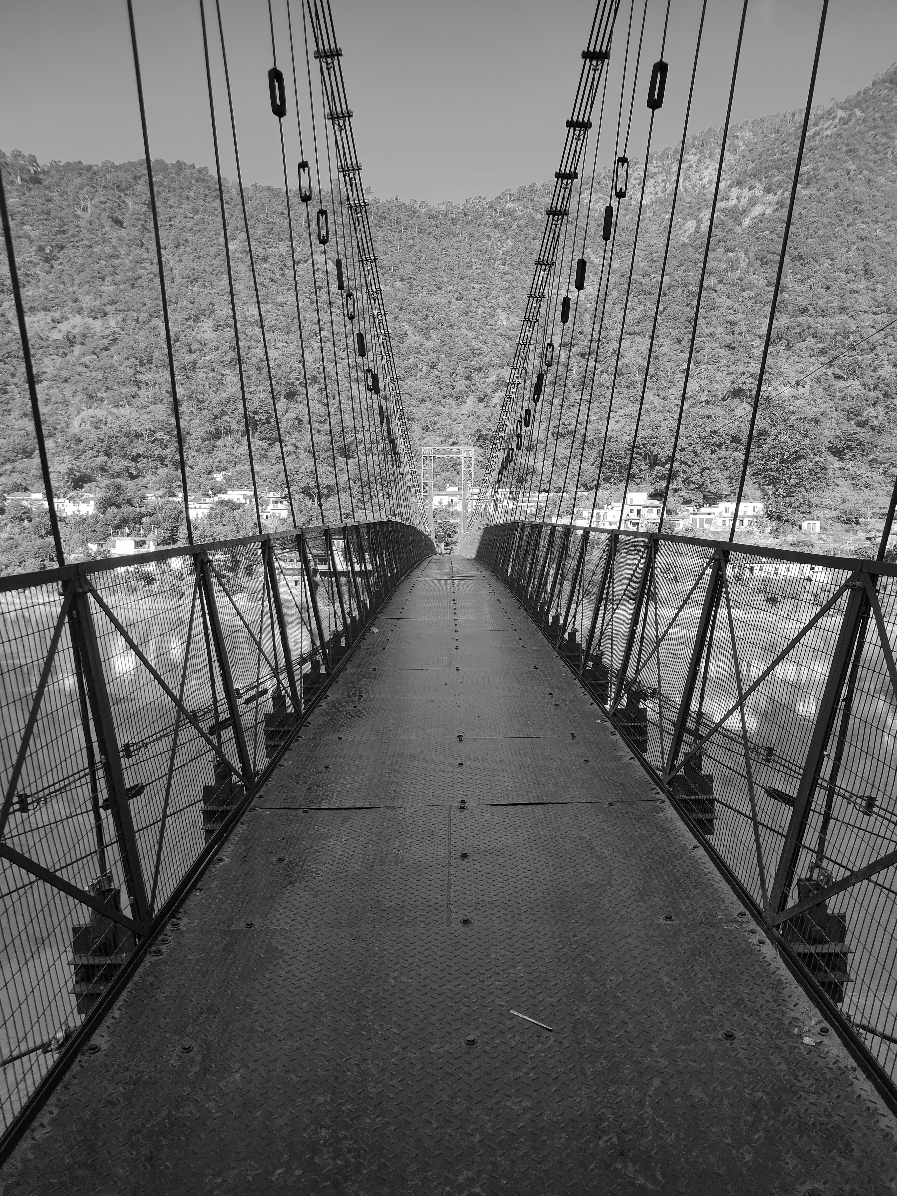 🐾 댕냥이 수명 연장! 건강 꿀팁 대방출 (초보 집사 필독) 📝