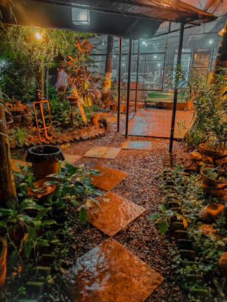 A cozy backyard illuminated by warm solar pathway lights winding through a garden.