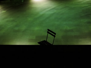 Velvet Comfort Chair