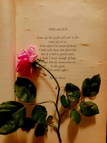 A pink rose lies across an aged, open book page with a poem by Robert Frost titled 'Fire and Ice'. The page has minor stains and signs of aging. The poem text is clearly visible, while the rose adds a touch of elegance and juxtaposes nature with literature.
