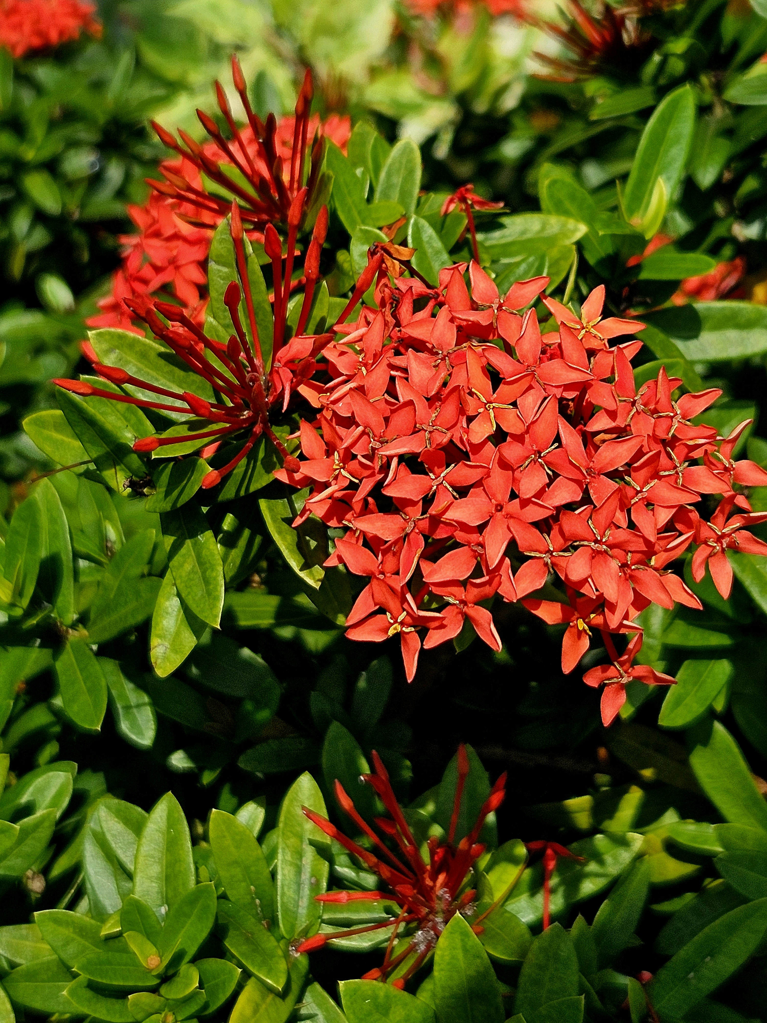 Photo by artist_shim