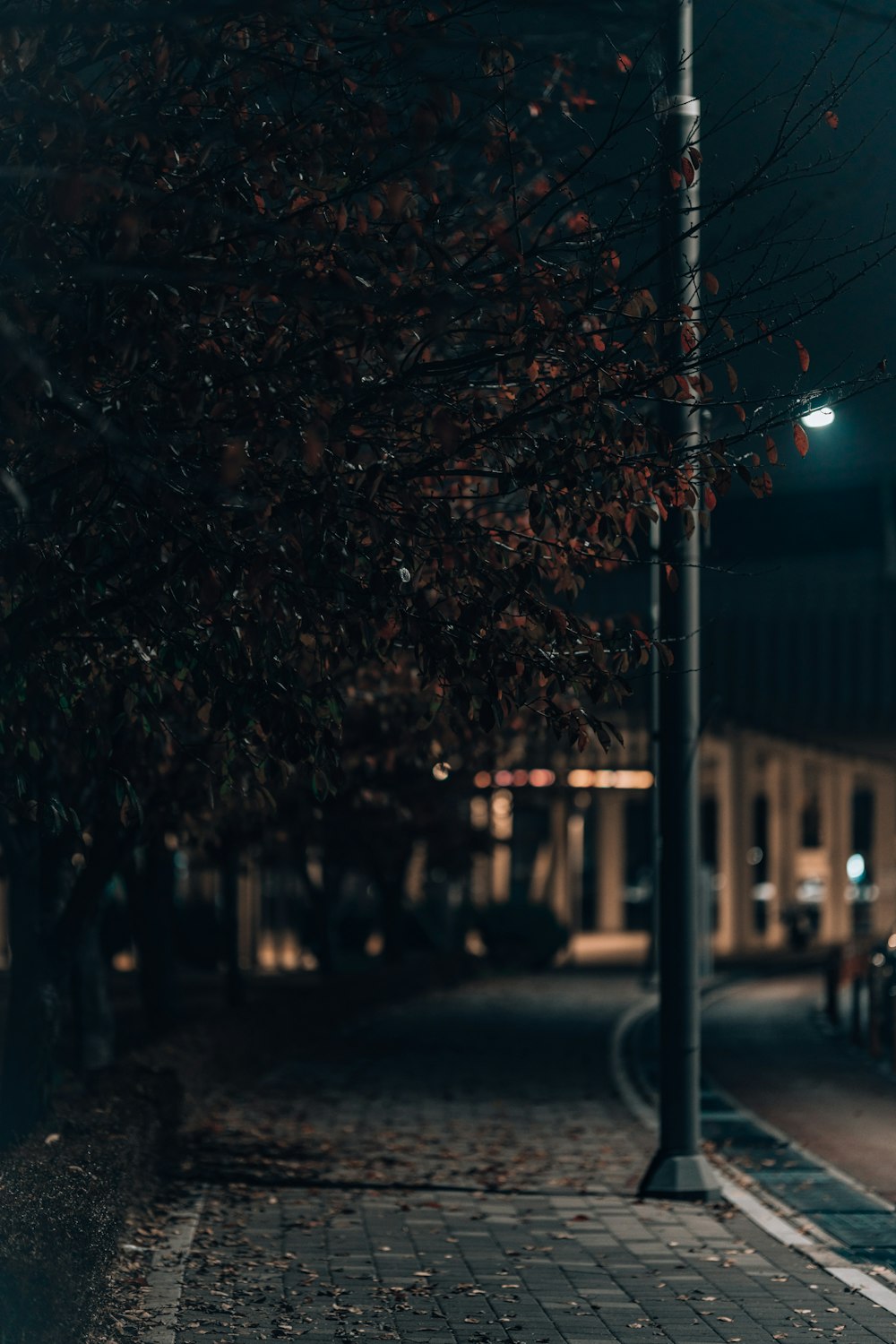 a street light on a city street at night