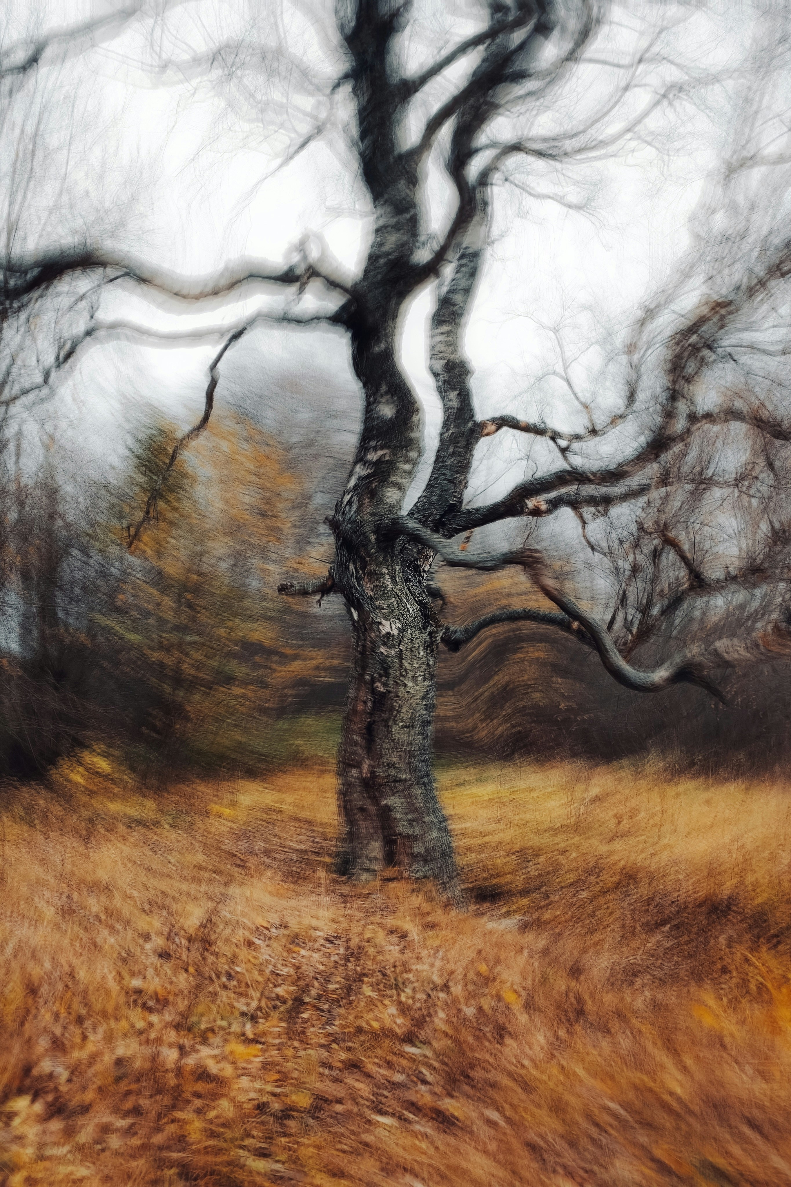 Photo by eugene_golovesov