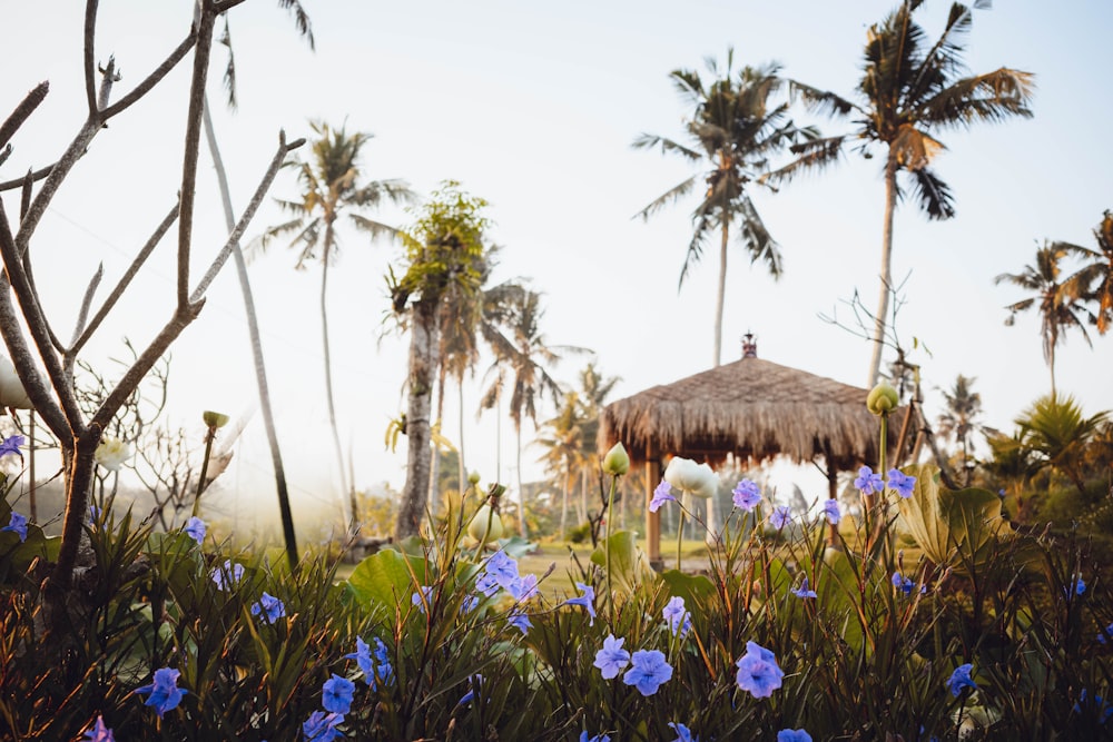 blue flowers and palm trees in a tropical setting