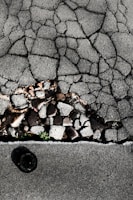 Cracked asphalt pavement with visible underlying stones and gravel. A small patch of green vegetation emerges through the cracks. The surface has a rough, uneven texture with varying shades of gray.