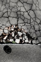 Cracked asphalt pavement with visible underlying stones and gravel. A small patch of green vegetation emerges through the cracks. The surface has a rough, uneven texture with varying shades of gray.