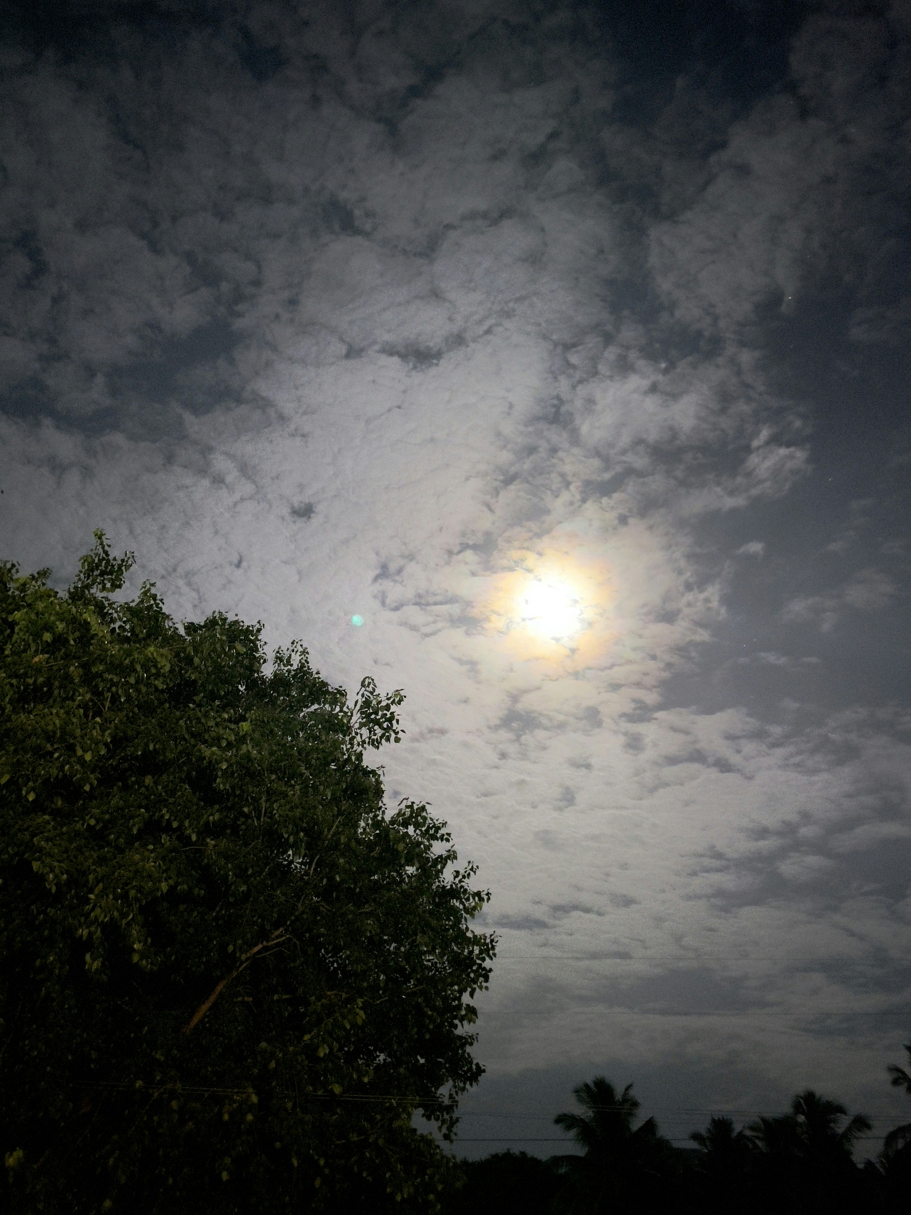 A full moon shining through the clouds above a tree photo – Free Travel ...