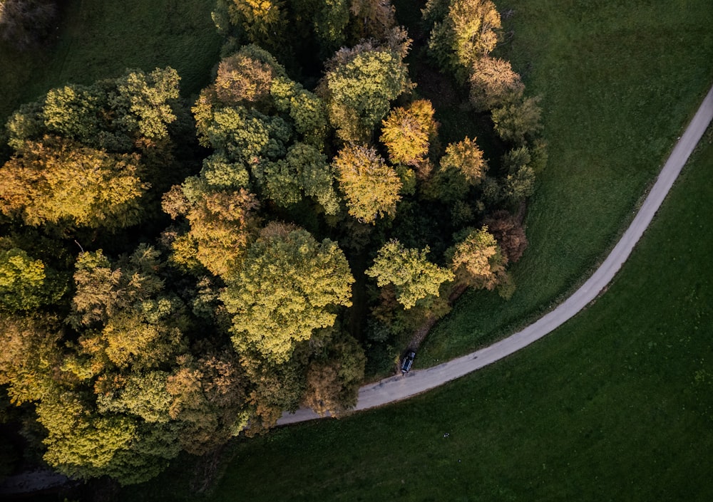 an aerial view of a road surrounded by trees