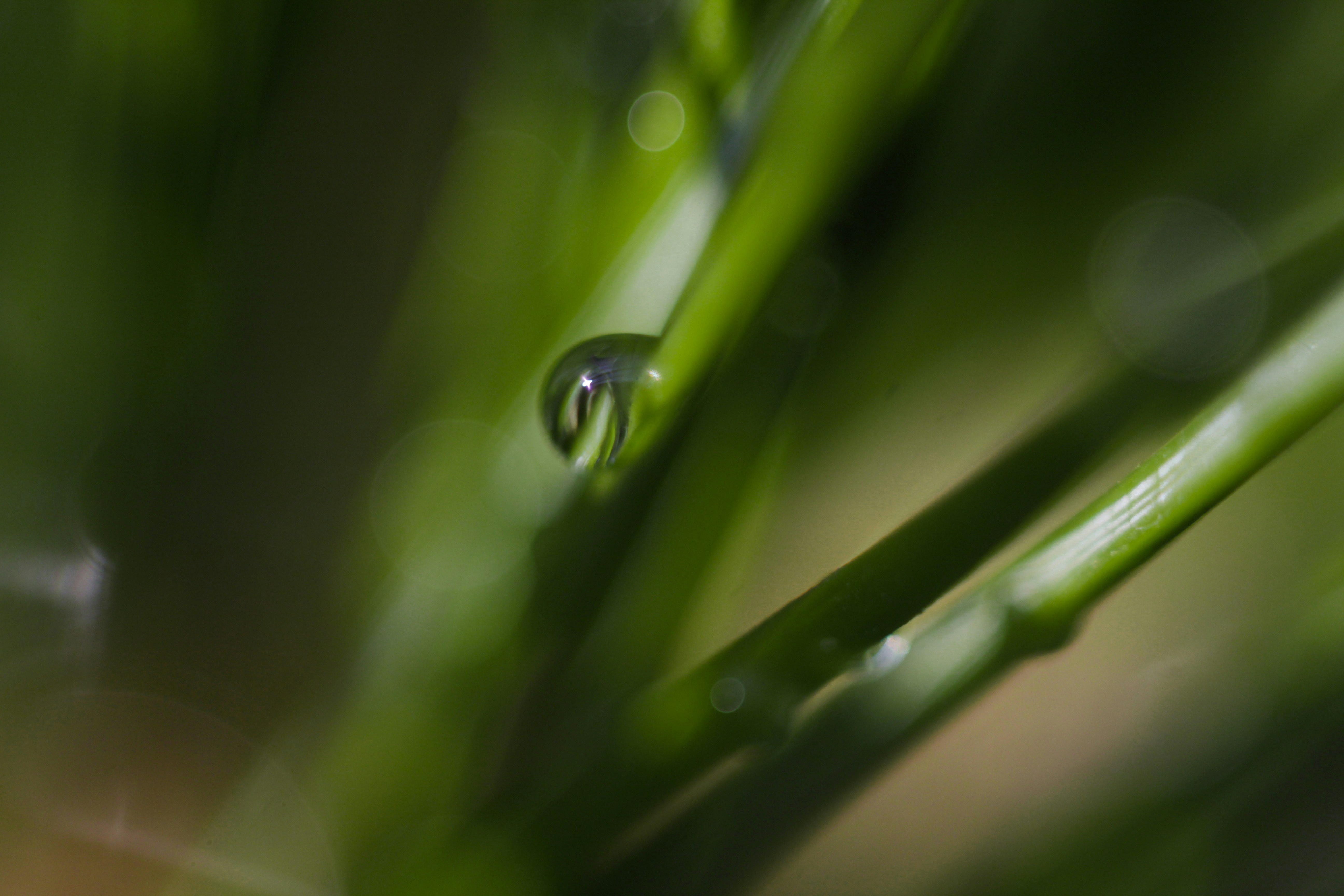 Photo by redpanigale1199