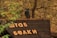 A pigeon is perched on top of a wooden signboard with letters written in Cyrillic script. The background reveals a natural setting with trees and foliage displaying autumn colors.