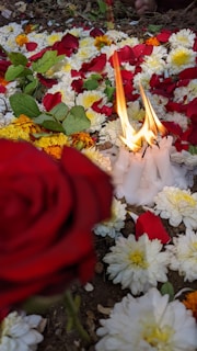 A grouping of lit white candles surrounded by various flowers, including red rose petals, yellow marigolds, and white daisies. Green leaves are interspersed among the red and yellow flower petals, creating a vibrant arrangement on the ground.