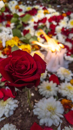Close-up of a glowing candle surrounded by purple and red flowers symbolizing peace and healing.
