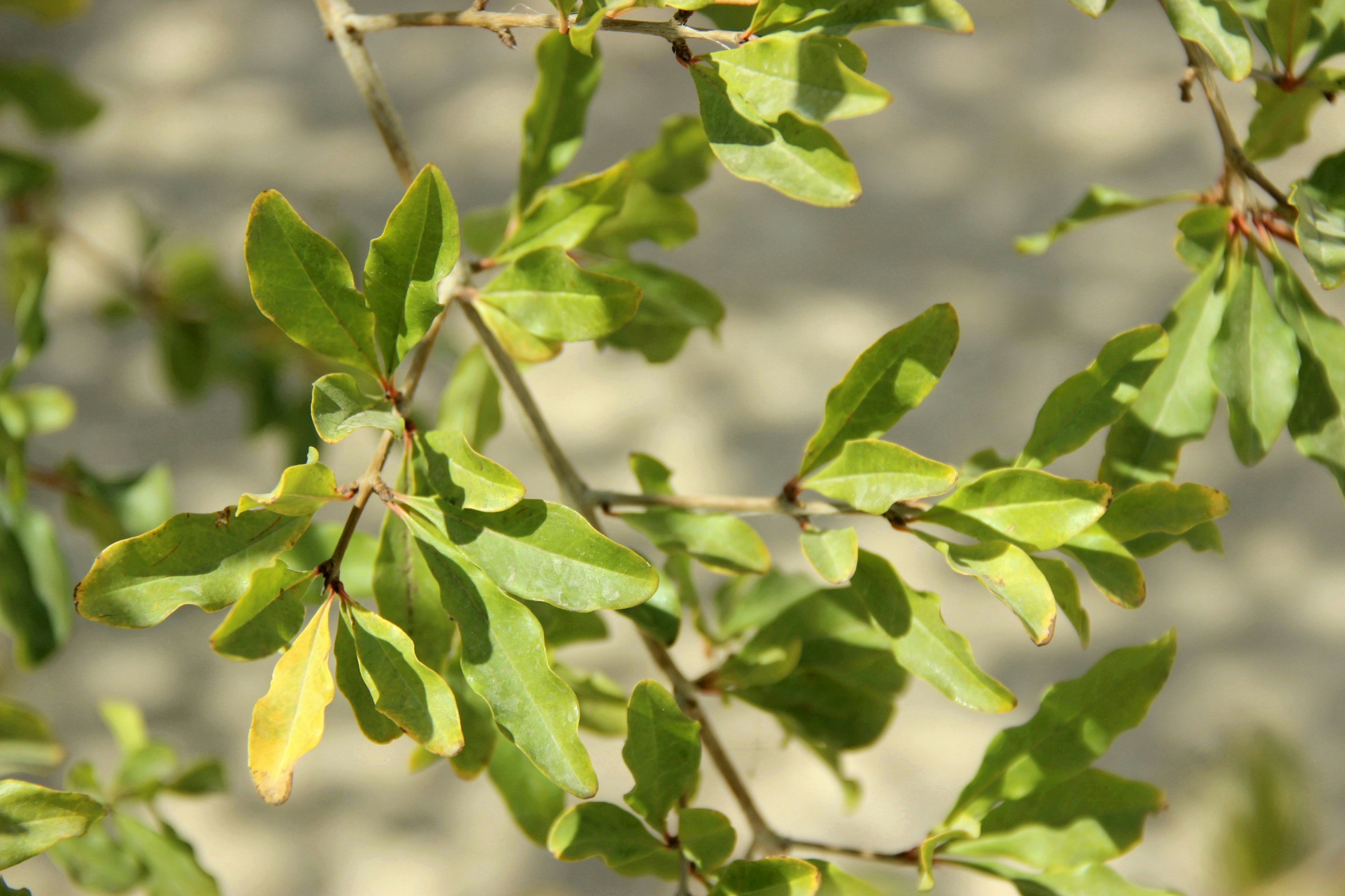 Photo by paris_nature_photo