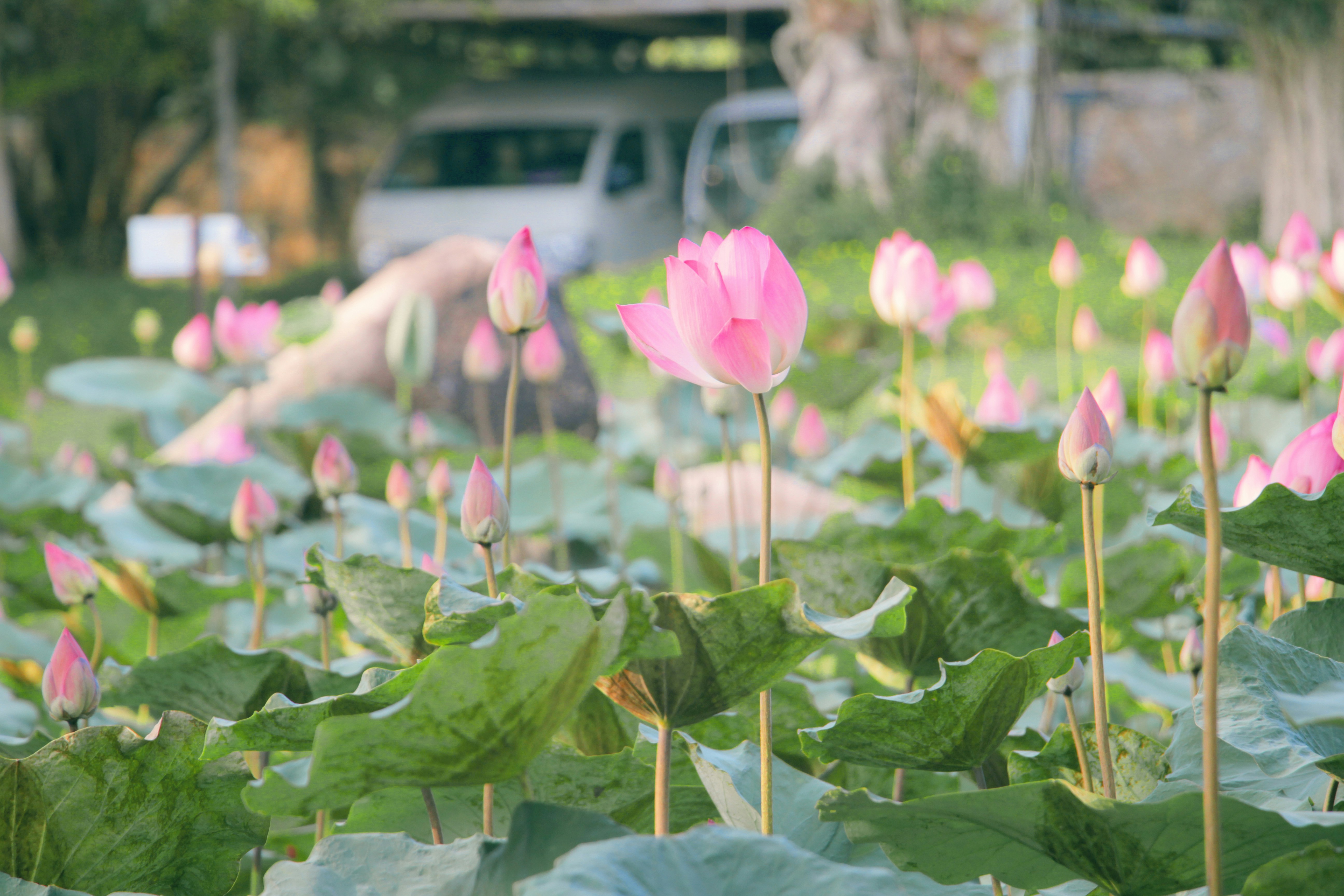 Top 10 Địa Điểm Du Lịch Gần TP.HCM Dưới 150km