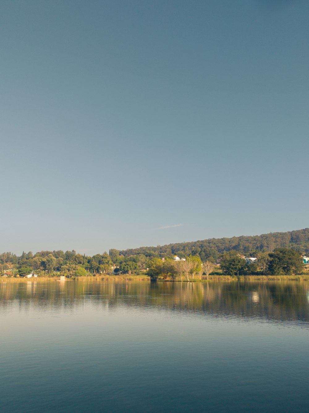 a large body of water with trees in the background