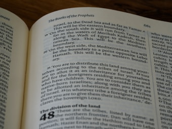 An open book displaying a passage from 'The Books of the Prophets'. The text discusses geographical boundaries involving locations such as the Dead Sea, Mediterranean Sea, and the tribes of Israel. The pages are formatted in columns with numbered verses.