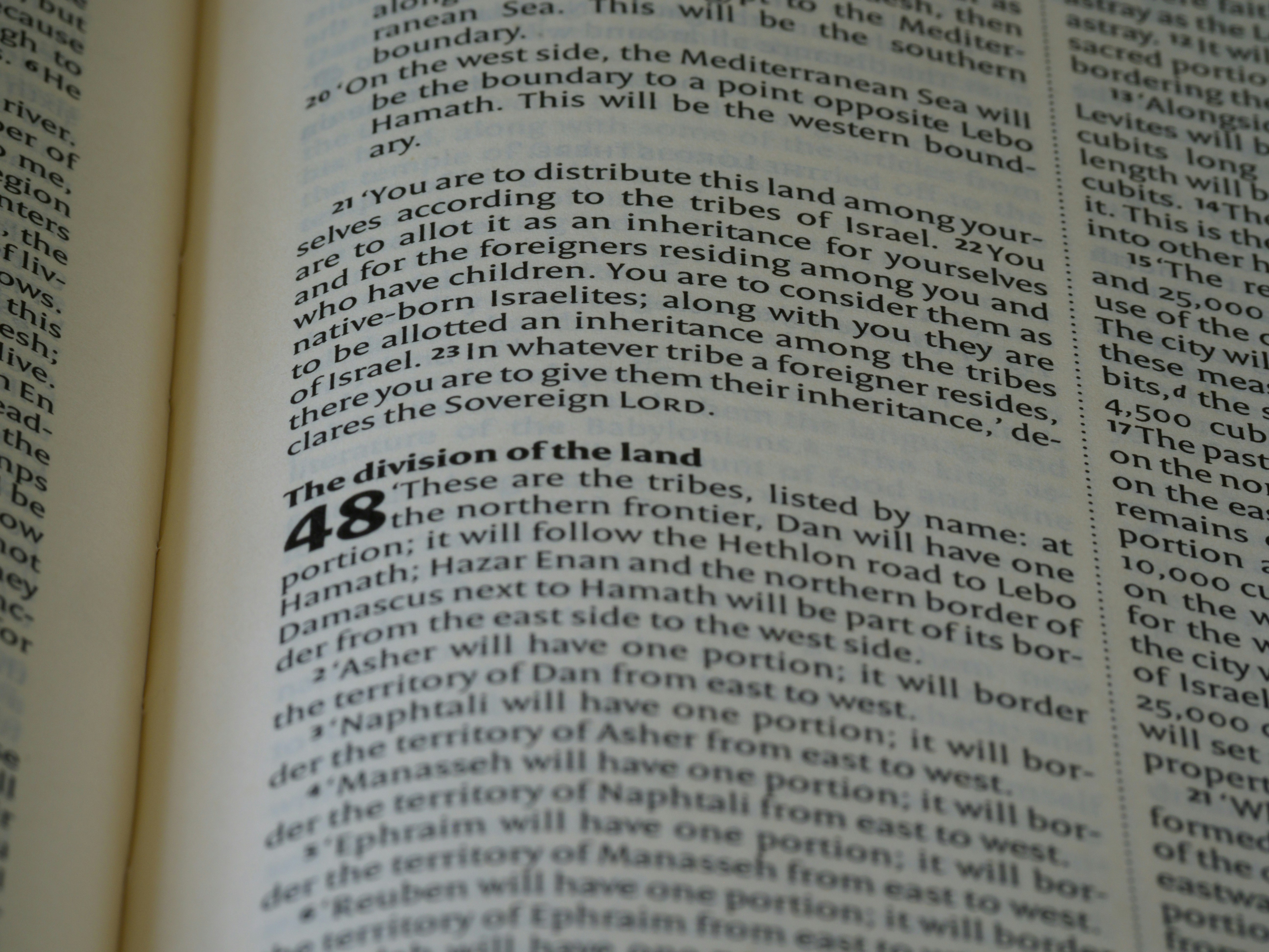 close up, bokeh, macro, blur, blurred background, close focus, bible, old testament, hebrew bible, christian, judaism, history, text, reading, bible study, devotions, text, NIV, New International Version, type, typography, canon, christianity, holy scripture, holy bible, scripture, old testament, hebrew bible, prophecy, exile, judgement, judgment, redemption, ezekiel, ezechiel, יְחֶזְקֵאל ,Yəḥezqēʾl, septuagint, book of ezekiel, prophet, prophecy, son of buzi, destruction of jerusalem, restoration of israel, restoration, babylonian captivity, babylon,