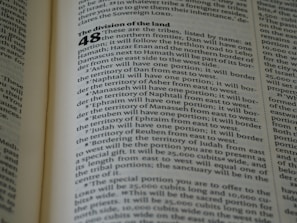 Close-up of a well-organized proposal document with clear sections and headings.