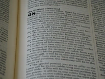 Organized wiki page layout with clear categories and easy navigation.