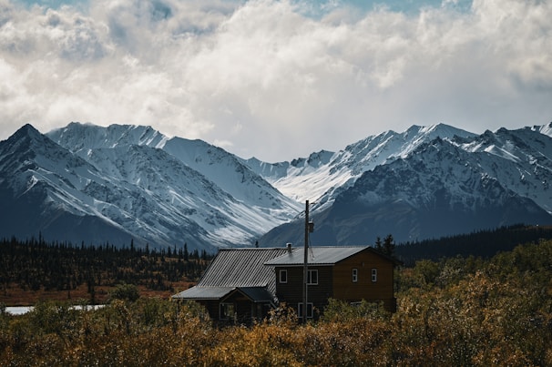 Mountain landscape with a cozy cabin and lush green forest