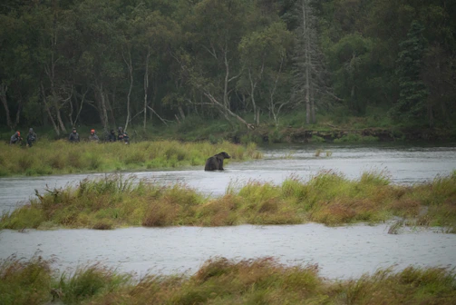 Scientists setting up camera traps to monitor Andean bears.