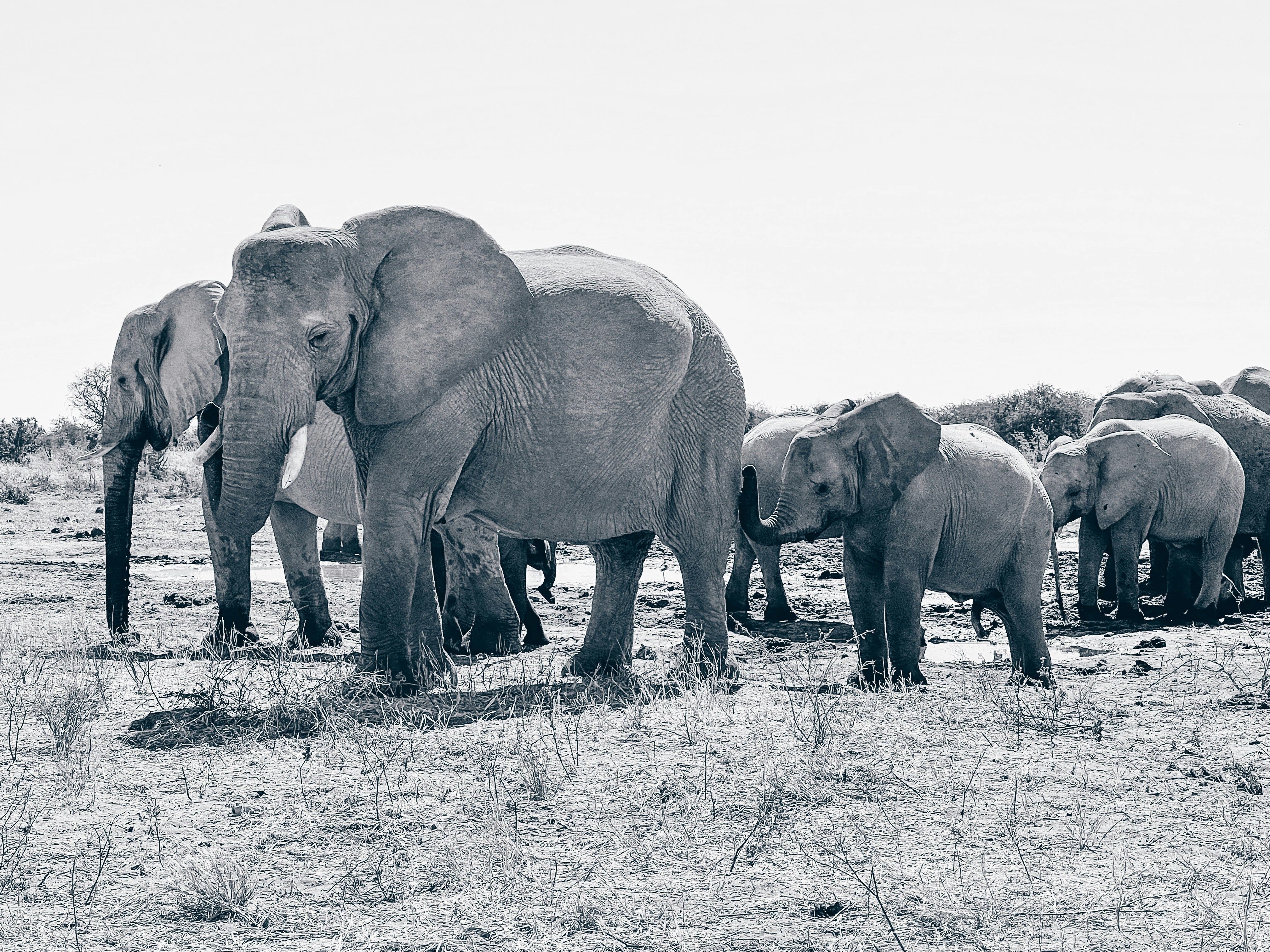 Photo by zanellelofty