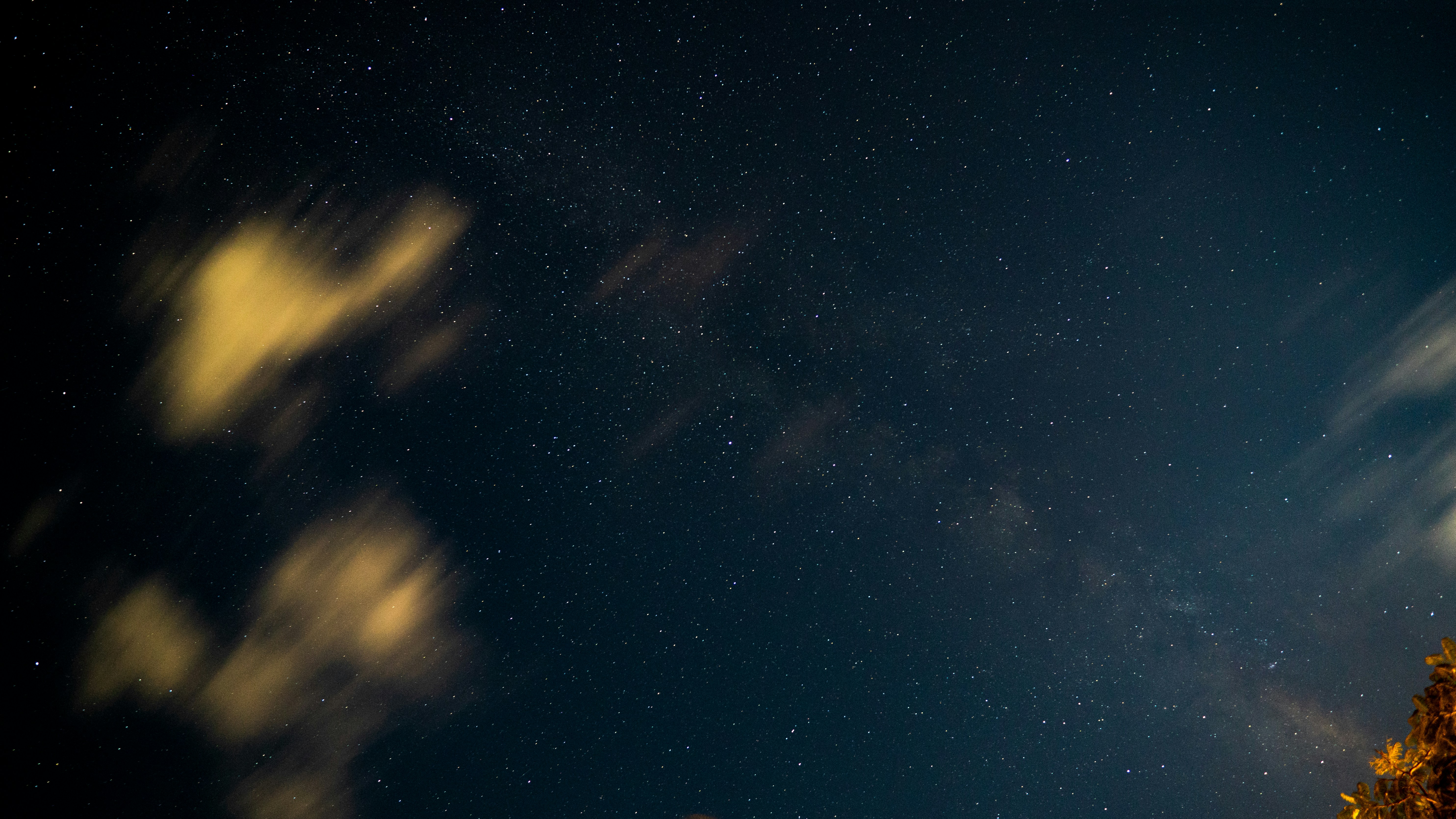 Why Queer Voices Matter in the Search for Life (image credits: unsplash)