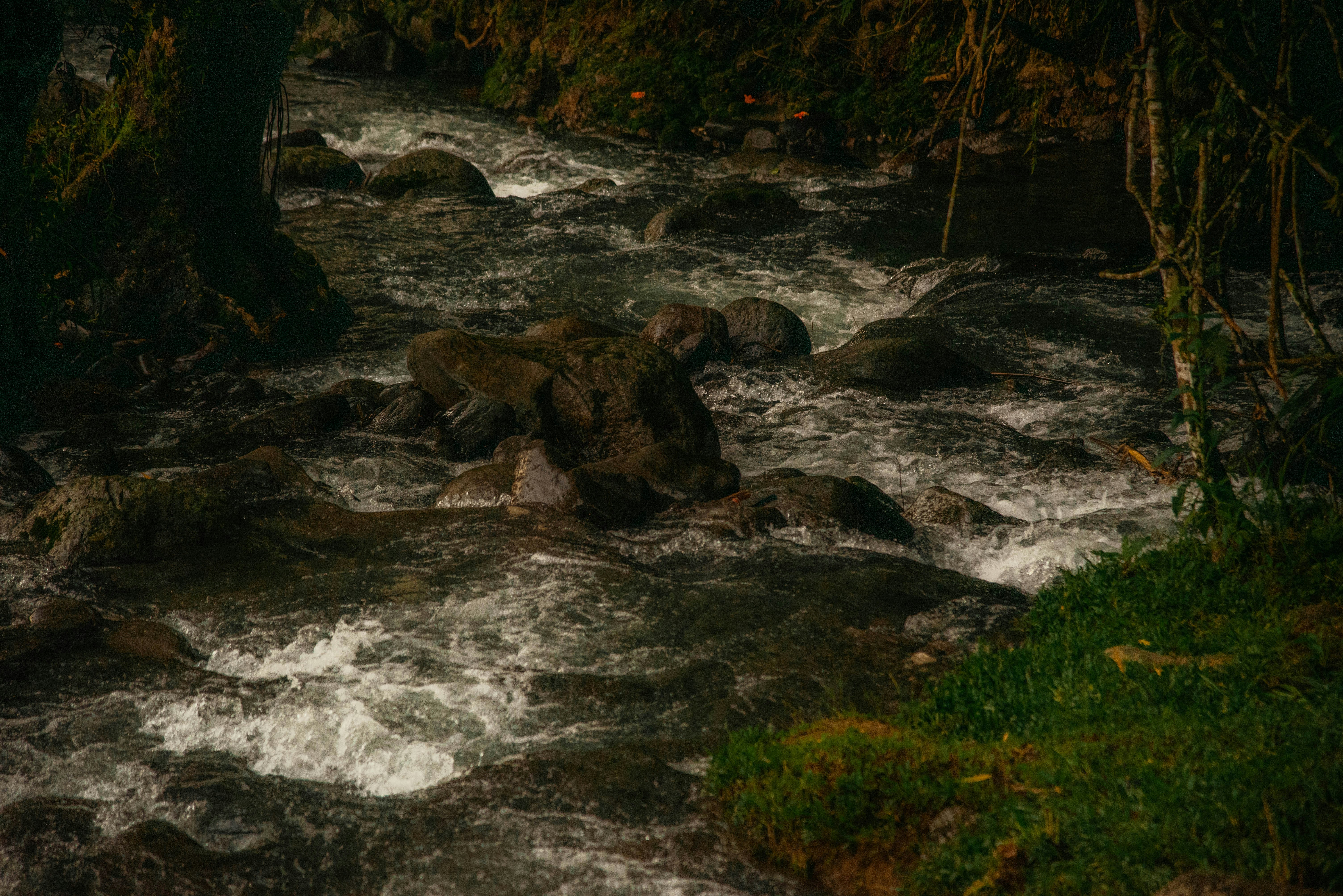 Photo by kurisuchanxx